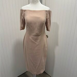 Elegant Off-Shoulder Blush Dress